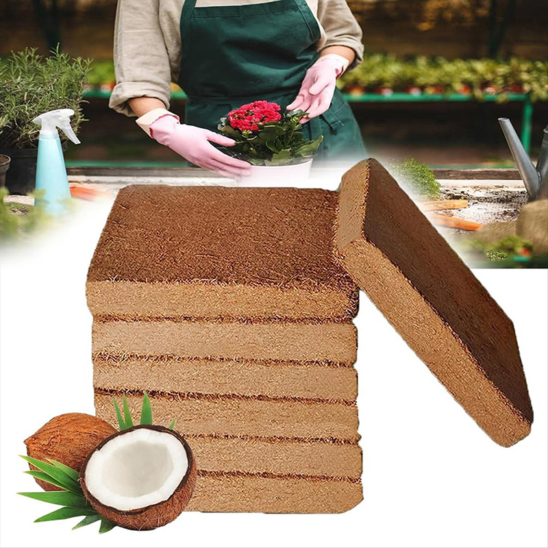 Coco Coir Block - 1/3/5pcs Organic Coconut Fiber Seedling Blocks