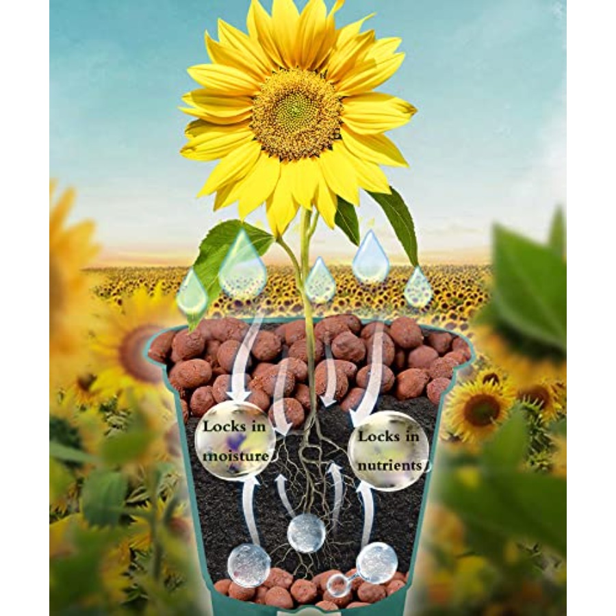 Voulosimi Clay Pebbles Hydropo - Clay Pebble Growing reseña y precio