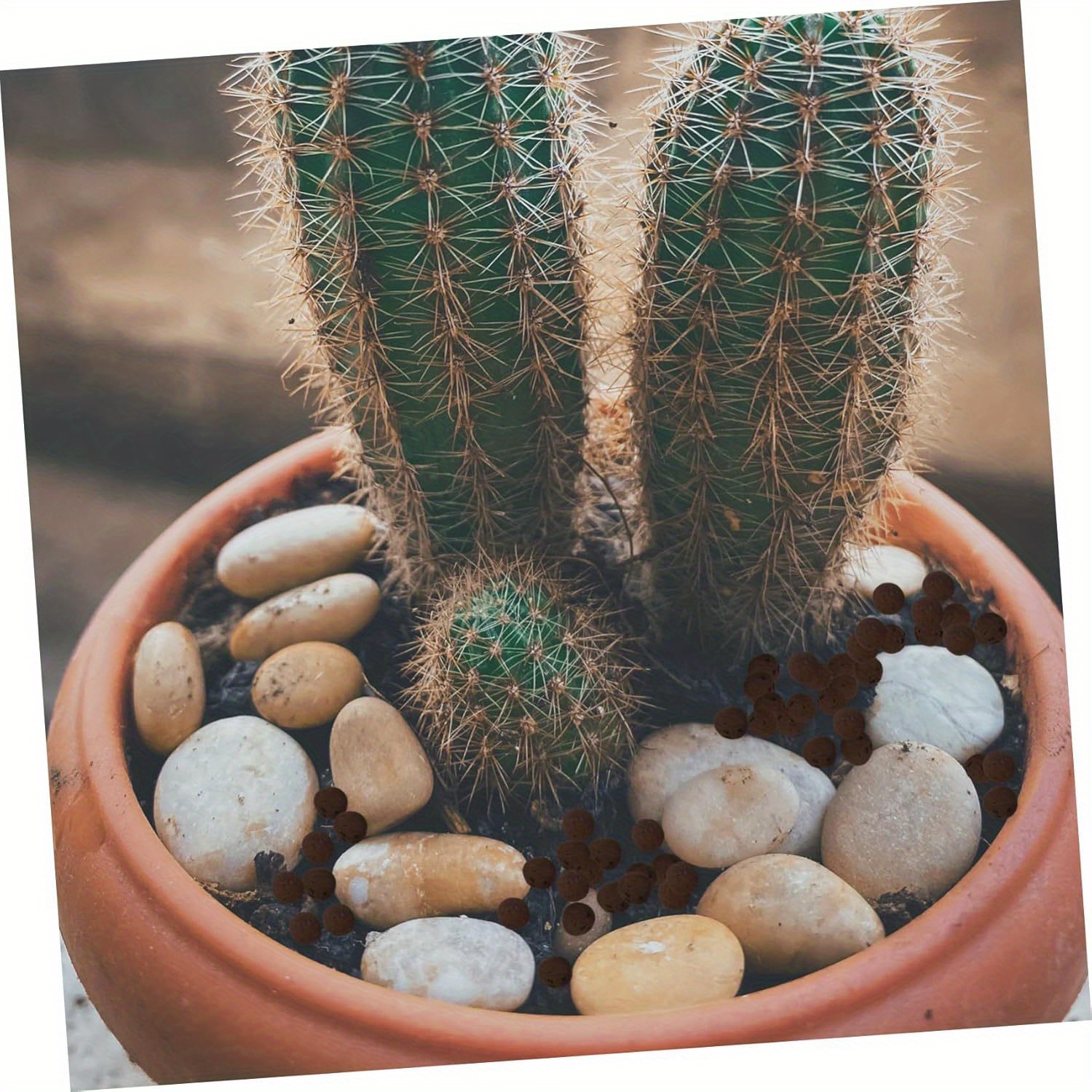 450-500g Aquarium Hydroponic C - Clay Pebble Growing reseña y precio