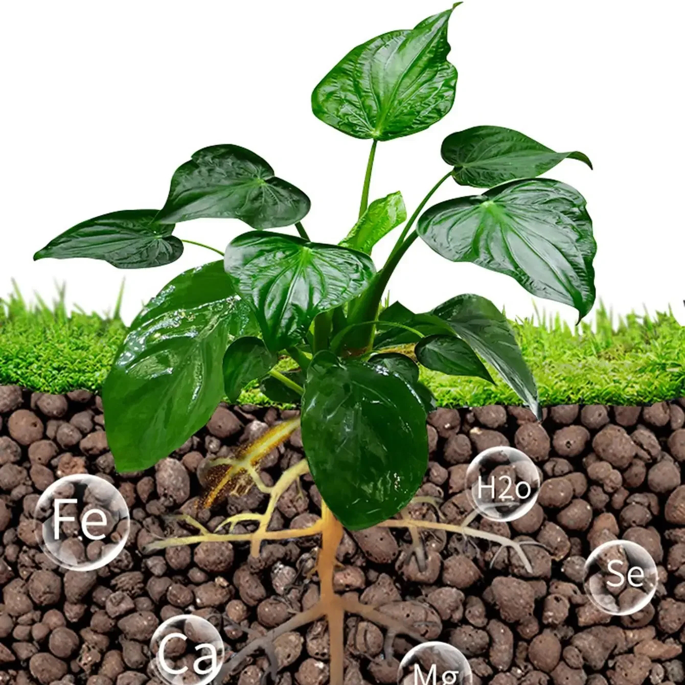 500g/pack Leca Balls Clay Pebb - Clay Pebble Growing reseña y precio