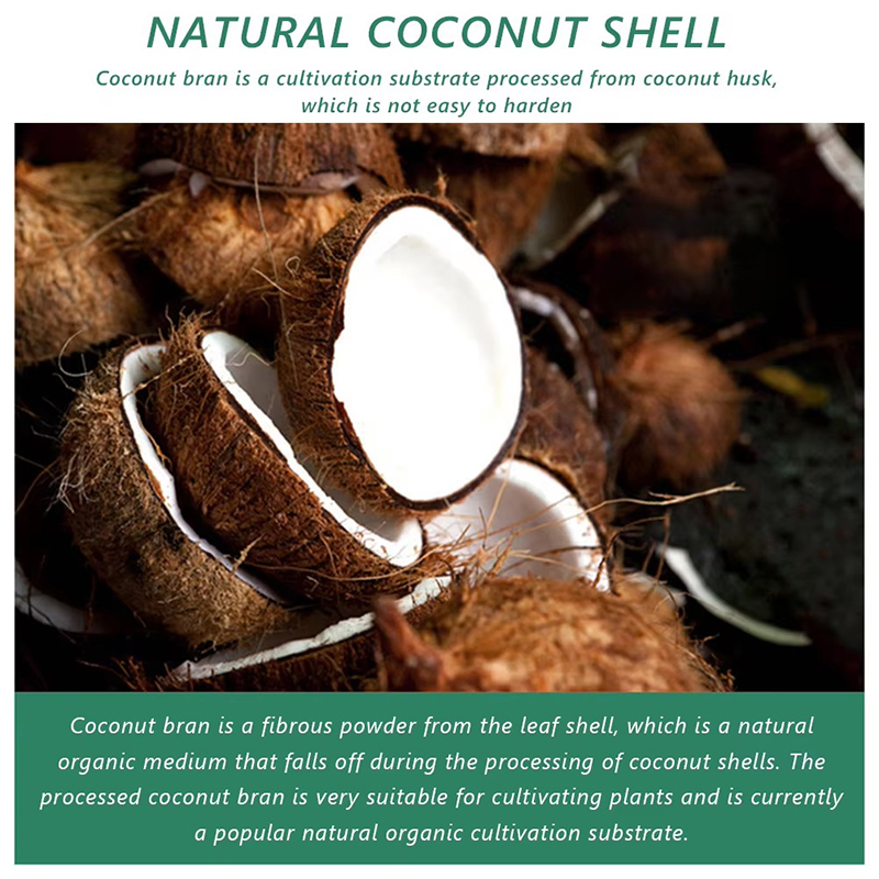1/3/5pcs Organic Coconut Fiber - Coco Coir Block reseña y precio