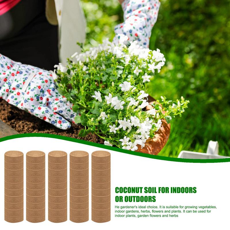 50pcs Coconut Fiber Coir Veget - Coco Coir Block reseña y precio