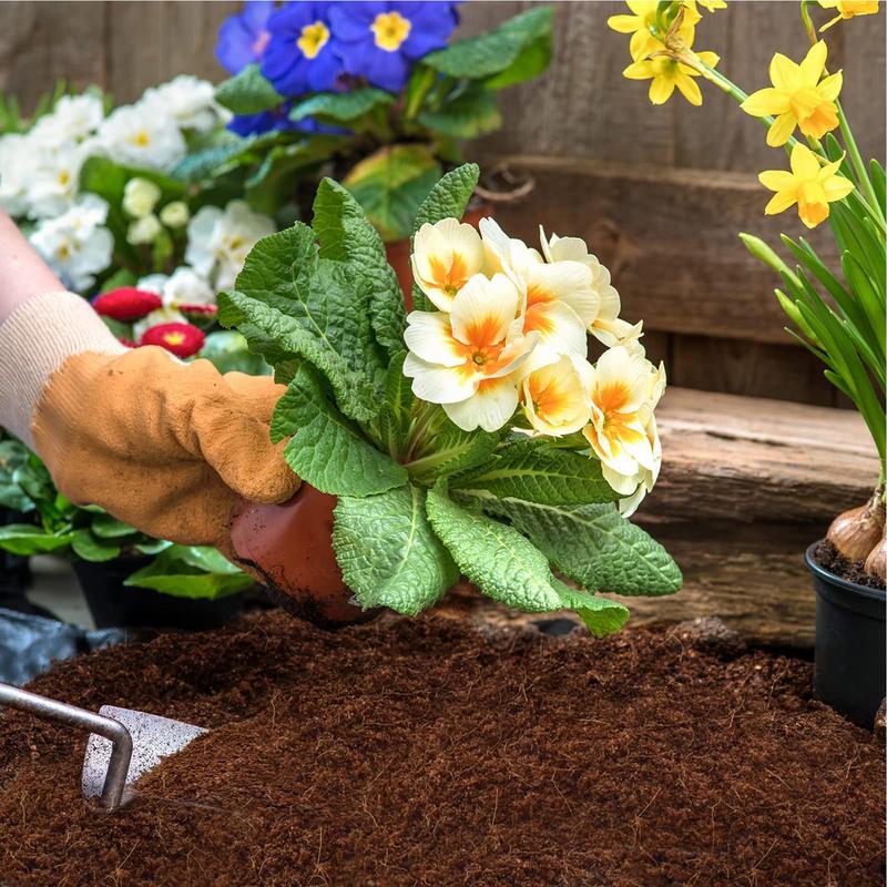 50pcs Coconut Fiber Coir Veget - Coco Coir Block reseña y precio