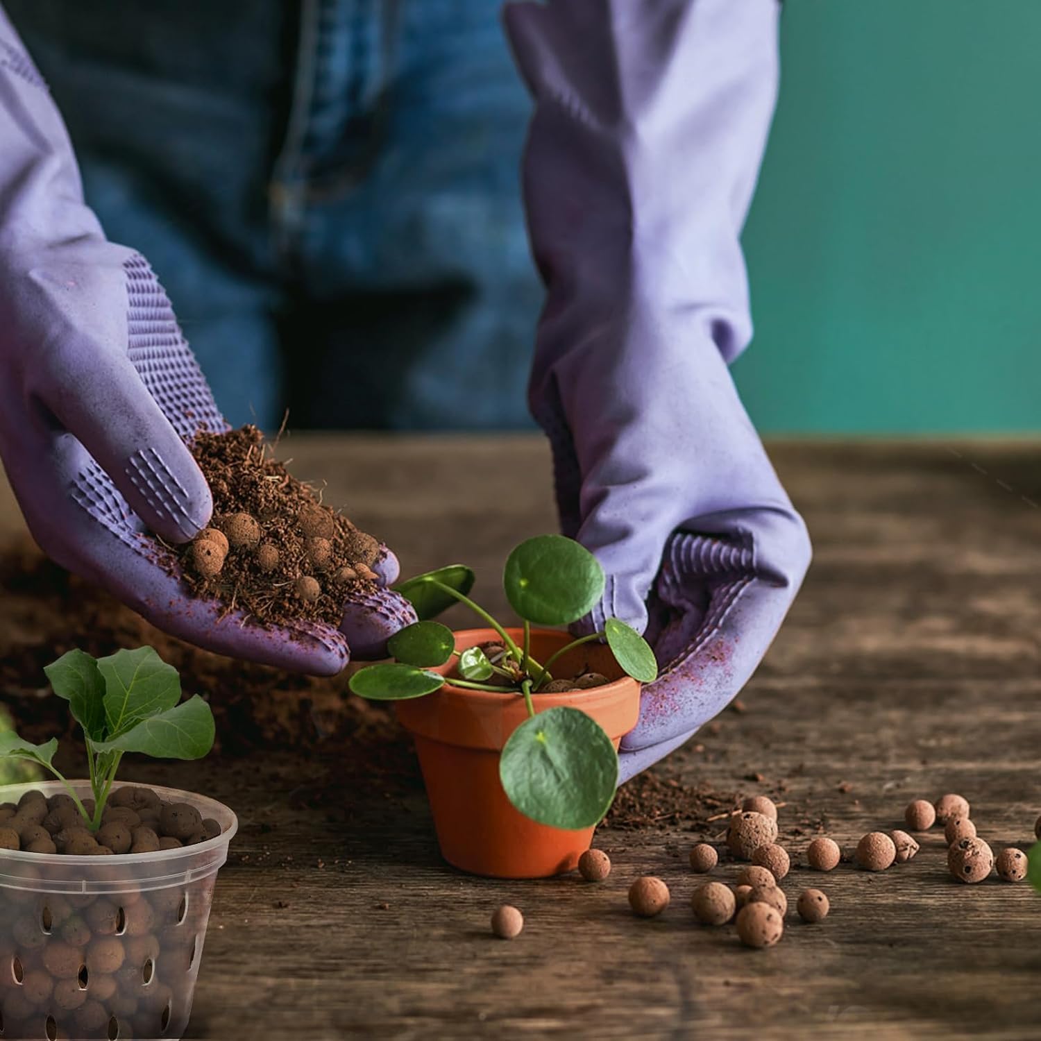 2L/1L Organic clay balls, Flow - Clay Pebble Growing reseña y precio
