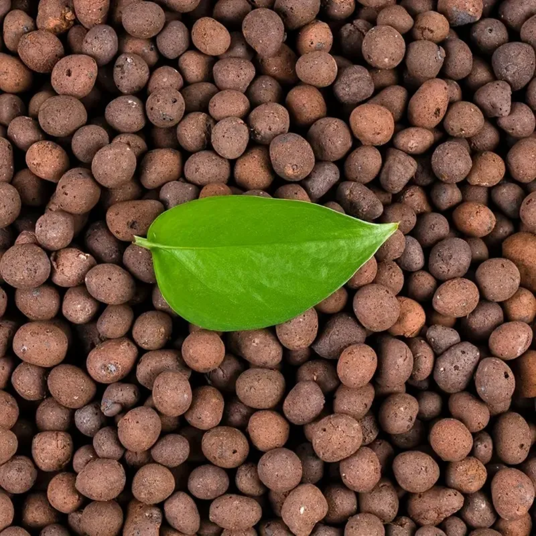 1LB Reusable Hydroponic Clay P - Clay Pebble Growing reseña y precio