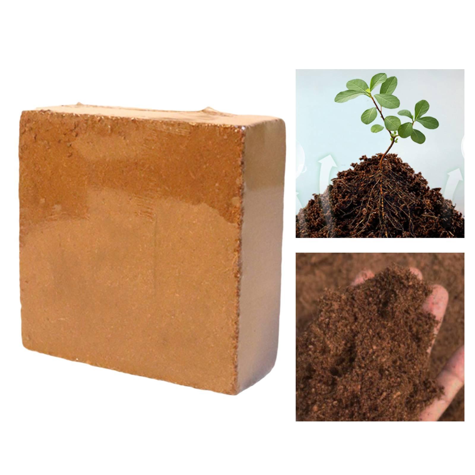 Moisture Holding Cocos Coir Co - Coco Coir Block reseña y precio