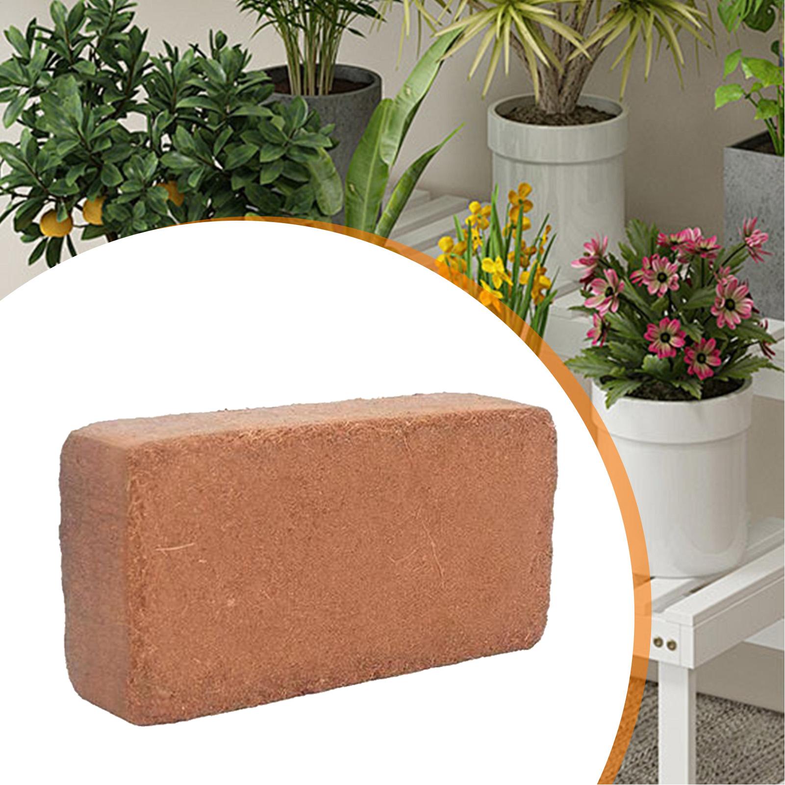 Coir Bricks Coco Peat Potting  - Coco Coir Block reseña y precio