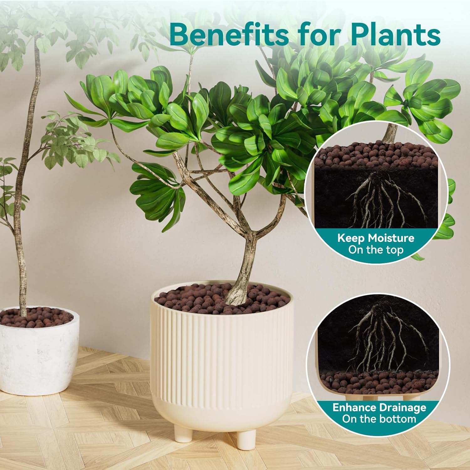 100/200G Clay Pebbles for Plan - Clay Pebble Growing reseña y precio