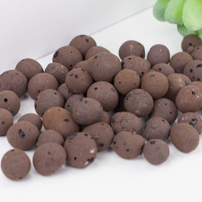 500g Organic light ceramsite C - Clay Pebble Growing reseña y precio