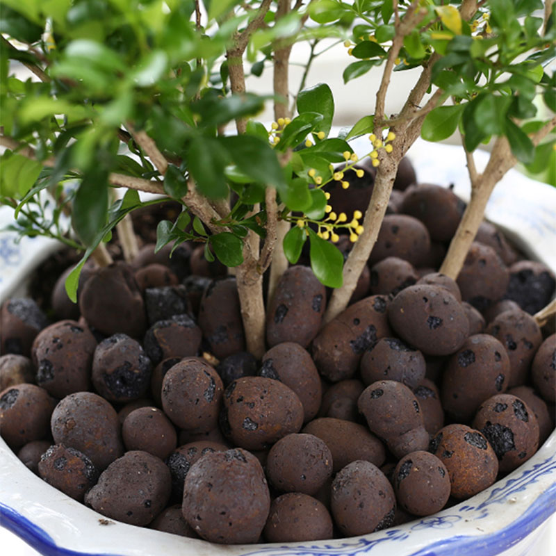 500g Organic light ceramsite C - Clay Pebble Growing reseña y precio
