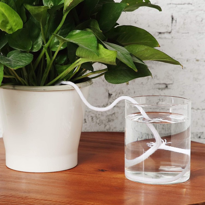 4/5/6mm Self-Watering Cotton R - Urban Farming System reseña y precio